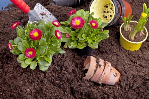The image shows a small garden bed with rich, dark soil, featuring two vibrant primula plants with bright pink and yellow flowers and green leaves arranged near the center. To the right, there are two small yellow pots; one contains a young green plant with emerging leaves, while the other has soil directly inside. In the background, a partially visible yellow plastic watering can with black holes in its spout is positioned behind the pots. A small decorative terracotta pot, lying on its side with some soil spilled from it, is also present on the soil surface. The scene appears to be in a garden area prepared for planting or gardening work, with natural daylight suggesting mild, overcast weather. The arrangement indicates early planting activity suitable for gardening services, such as flower bed creation or plant maintenance, typical of a landscaped outdoor space in Edmonton or surrounding areas, as suggested by the website context.