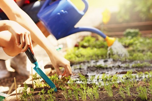A gardener is tending to a small garden bed with young green seedlings arranged in neat rows, positioned on rich, dark soil. The scene is outdoors in a landscaped backyard or front garden, with a wooden fence and blurred greenery in the background suggesting a well-maintained outdoor living space in Edmonton. The gardener's hands are visible, using a small hand trowel to carefully tend to the plants, while a blue watering can is positioned nearby, watering the garden. The garden features a mix of soil and mulch borders, with the seedlings appearing vibrant and healthy. Natural sunlight illuminates the scene, highlighting the fresh green foliage and the earthy tones of the soil. The overall setting reflects regular gardening and outdoor maintenance activities that Landscapers Edmonton might support with their gardening services, emphasizing healthy plant growth and a well-organized garden layout next to a paved or grassy area suitable for outdoor living in the local area.