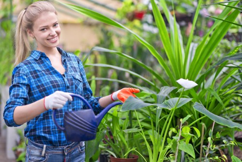 A young woman with long blonde hair, dressed in a blue plaid shirt and wearing gardening gloves, is standing in a lush outdoor garden. She is smiling and holding a blue watering can, actively watering a variety of green plants, including large leafy foliage and smaller flowering plants. The garden area features a mix of vibrant green plants with some white flowers visible, set against a background of other potted plants and garden elements. The environment appears to be well-maintained and thriving, with natural lighting suggesting a bright, possibly sunny day. This scene highlights outdoor gardening activities typical of residential landscaped yards in Edmonton, with the woman engaging in caring for her garden and plants, supported by lawn and garden maintenance services from Landscapers Edmonton.