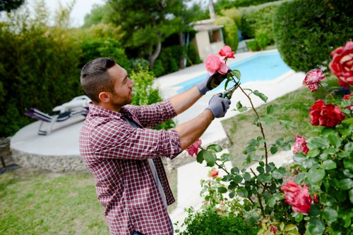 Landscaper website browsing on a device with cookie settings