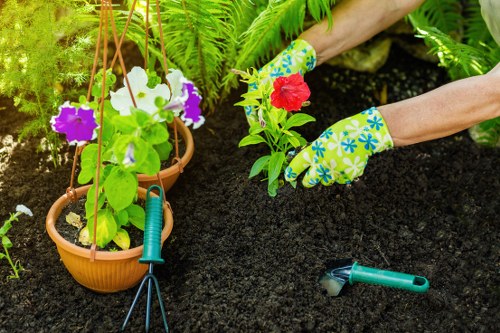 The image depicts a gardener's hands wearing colorful, patterned gardening gloves as they plant a red flowering plant into rich, dark soil within a well-maintained garden space. The garden features a raised terracotta pot with vibrant purple and white petunias, supported by a wooden plant stake and a small green garden fork resting on the soil nearby. Surrounding the planting area are lush green ferns and other foliage, creating a vibrant and healthy backyard environment. The scene takes place outdoors in a landscaped yard, with the soil appearing freshly turned and moist, indicating recent planting activity. Bright natural light illuminates the scene, highlighting the vivid colours of the flowers and the contrasting textures of the foliage and soil. This setting exemplifies the kind of garden maintenance and planting services offered by companies like Landscapers Edmonton in the Edmonton area, supporting healthy and attractive landscape development and tending.