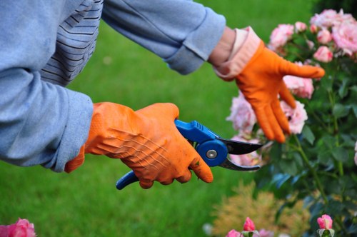 A gardener wearing orange protective gloves is trimming a flowering shrub with a pair of pruning shears in a landscaped garden, featuring a well-maintained lawn, pink flowering plants, and neatly edged flower beds. The background shows a lush green grass area, indicating regular outdoor garden maintenance, typical of garden or landscaping services in Edmonton. The natural light and mild weather suggest a clear day, suitable for outdoor gardening activities. The gardener's focus on pruning and the tidy garden layout reflect professional gardening work that enhances outdoor spaces in the Edmonton area, supporting local lawn care and garden maintenance services.