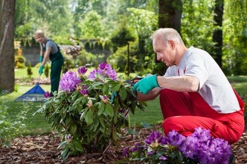 A close-up view of a mature gardener with short grey hair, wearing a white t-shirt, red gardening trousers, and teal gloves, carefully tending to a vibrant purple flowering shrub in a landscaped outdoor garden. The garden features a well-maintained lawn, decorative flower beds with purple and pink blooms, and a backdrop of tall trees and lush greenery, suggesting a peaceful, sunny day in a residential back garden. In the background, another gardener in casual clothing is seen working near a small blue tent or gardening structure, surrounded by various plants and garden decorations. The scene reflects professional outdoor maintenance and gardening services focused on planting, pruning, and landscape enhancement in a suburban environment, likely in Edmonton or nearby areas, with natural sunlight illuminating the scene and highlighting fresh, healthy plant growth and well-organized garden features.