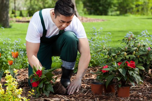 A gardener in an outdoor garden setting, wearing a white t-shirt and dark green overalls, is kneeling on the soil and planting or tending to vibrant red and green poinsettia plants in terracotta pots. The garden features a well-maintained lawn with lush green grass, surrounded by a variety of shrubs and flowering plants, some with orange and purple blossoms. Behind the gardener, there are mature trees and a neatly edged flower bed, indicating a landscaped yard in a suburban area, possibly in Edmonton. The scene appears to be on a bright, cloudy day, providing natural light that highlights the rich textures of the plants and garden elements. This image illustrates professional gardening and landscaping work, emphasizing planting activities typical of garden maintenance services offered by Landscapers Edmonton, supporting the upkeep of outdoor plant beds and garden aesthetics.