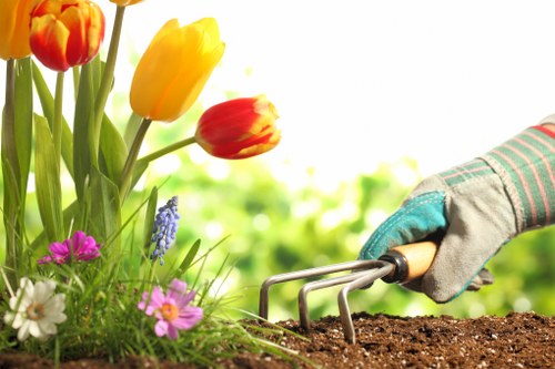 A gardener's hand wearing a protective glove is seen using a small hand rake to loosen dark, rich soil in a garden bed. To the left, vibrant flowering plants including tulips with red and yellow petals, along with smaller pink, white, and purple flowers, create a colourful border. The garden features a well-maintained lawn with dense, green grass in the background, alongside neatly trimmed hedges and young shrubbery. Sunlight illuminates the scene, casting a bright and natural light over the outdoor space, which appears to be part of a residential garden possibly in Edmonton. The garden area is structured with defined flower beds and lush, healthy plant growth, reflecting careful outdoor maintenance typical of gardening services offered by Landscapers Edmonton in the local area. The environment suggests a peaceful, well-kept front or back garden designed for aesthetic appeal and outdoor enjoyment, highlighting the importance of regular lawn care and planting work.