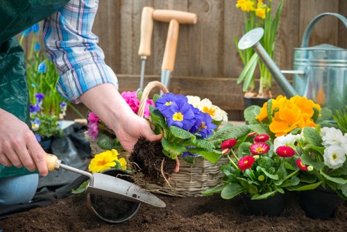 Seasonal plants arranged by Edmonton landscaping experts