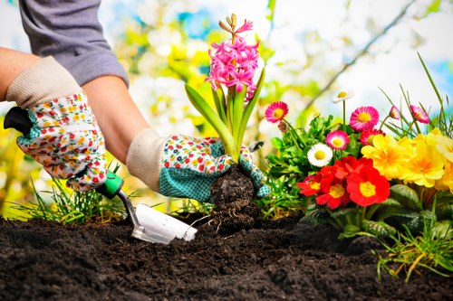In a vibrant garden scene, a person is planting a pink hyacinth flower into rich, dark soil, wearing colorful patterned gardening gloves. Surrounding the planting area are brightly colored flowers, including red, yellow, pink, and white blooms, arranged in neat flower beds. In the background, lush green foliage and trees with fresh spring leaves are visible, suggesting a well-maintained outdoor space in Edmonton. The garden features a mix of soil beds and patches of grass, with the overall environment appearing bright and sunny, indicative of favorable weather conditions for gardening activities. The scene illustrates typical landscaping and gardening work, highlighting the natural tones of the soil and plants, and is consistent with outdoor gardening services aimed at enhancing residential garden landscapes.