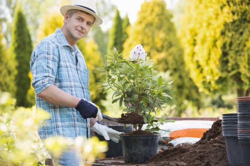 A man in a light-colored hat, plaid shirt, and gardening gloves is working outdoors in a garden with a lush, green background. He is tending to a potted flowering plant, which features white blossoms with purple centers, positioned on a patch of rich, dark soil. The garden area includes a well-maintained lawn with dense grass, neatly arranged flower beds with soil, and a paved pathway or decking visible in the background. The environment is bathed in natural sunlight, highlighting the vibrant green foliage of trees and shrubs, suggesting a pleasant, sunny day in an Edmonton garden. This scene exemplifies typical landscaping and gardening activities, and it aligns with services offered by Landscapers Edmonton, emphasizing professional outdoor garden maintenance and plant care within a landscaped yard or front garden setting.