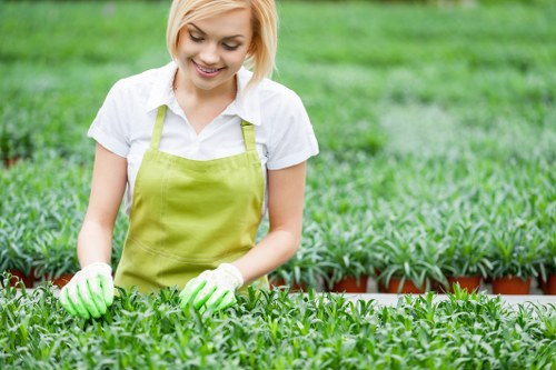 A young woman with blonde hair, wearing a white shirt, a light green apron, and gardening gloves, is tending to a lush, well-maintained garden bed filled with small green plants. She is smiling gently as she uses her hands to carefully work among the plants, which are growing densely in a landscaped outdoor area. The garden features a neatly edged flower bed with rich, dark soil framing the vibrant green foliage. In the background, there is a large grassy lawn area with a consistent, healthy appearance, suggesting ongoing lawn care and maintenance. The scene is set outdoors on a bright, possibly overcast day, providing soft natural lighting that highlights the textures of the plants, soil, and grass. This image reflects professional gardening practices suitable for a landscaped yard in Edmonton or similar areas, emphasizing outdoor maintenance and garden care services offered by local landscapers.