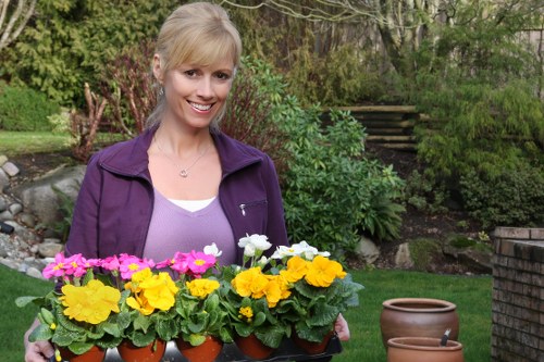 A woman with blonde hair wearing a purple jacket and white top is standing in a well-maintained garden, holding a tray of vibrant potted flowering plants, including pink, yellow, and white blooms. The garden features lush green grass in the foreground, bordered by a variety of shrubs and small trees. In the background, a set of outdoor wooden steps leads up a slope surrounded by mature foliage, and there are large terracotta pots on the paved area nearby. The scene appears to be taken on a bright, clear day, emphasizing the lively colours of the plants and the natural tones of the garden environment, typical of a landscaped outdoor space in Edmonton. Landscape gardening and plant care services provided by Landscapers Edmonton are relevant to maintaining such vibrant garden settings.