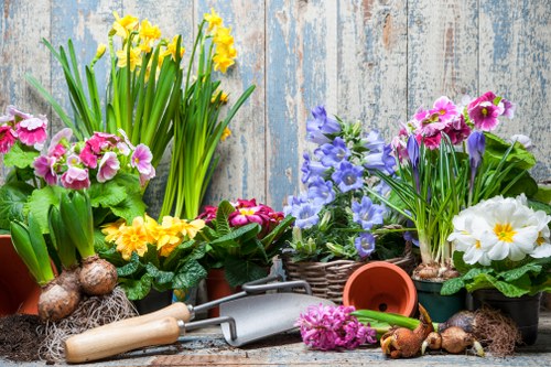 A collection of colourful spring flowering plants arranged in various pots and containers against a weathered wooden garden fence. The display includes yellow daffodils, pink primroses, purple and blue flowers, and white blooms, creating a vibrant and natural outdoor garden scene typical of landscaped yards in Edmonton. In the foreground, gardening tools such as a hand trowel, a watering can, and small pots are scattered, indicating ongoing planting or garden maintenance activities. The plants are set on a rustic wooden surface, with some soil, roots, and bulbs visible nearby, suggesting recent planting work. The scene captures the essence of a well-maintained garden area, with lush green foliage and blooming flowers, ready for professional gardening services to enhance or repair outdoor spaces in the Edmonton area, such as decking or lawn care, in line with Landscapers Edmonton’s services.